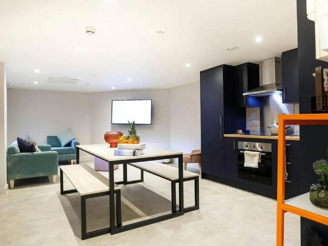 Studio to rent