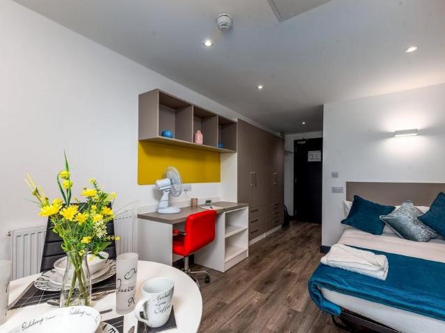 Studio to rent