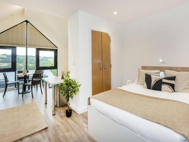 Studio to rent