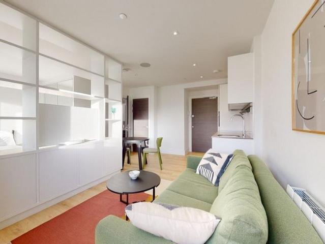 Studio to rent