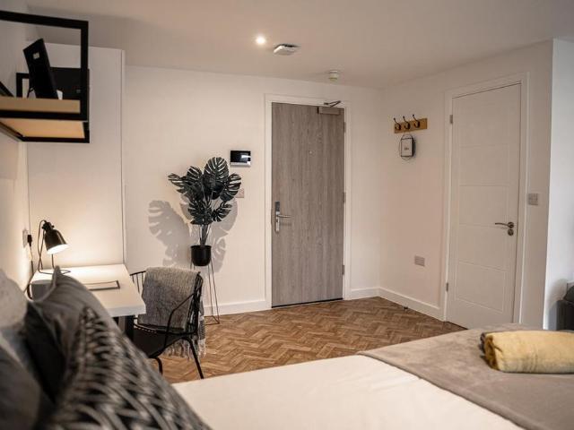 Studio to rent