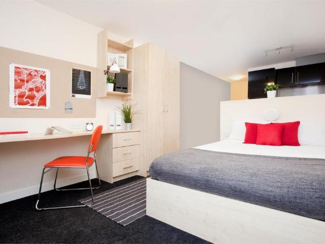 Studio to rent