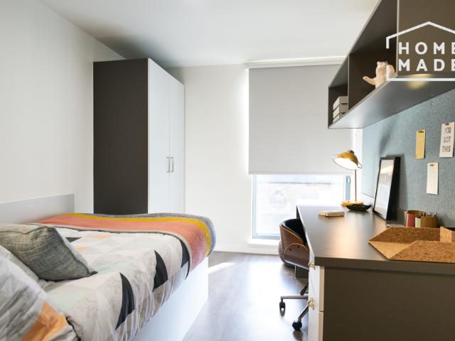 Studio to rent