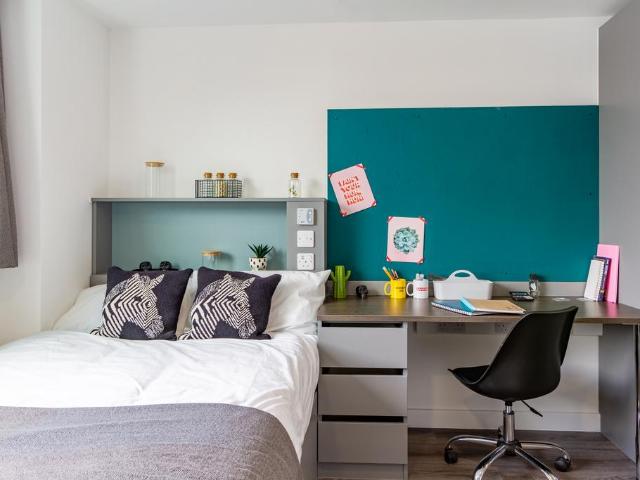Studio to rent
