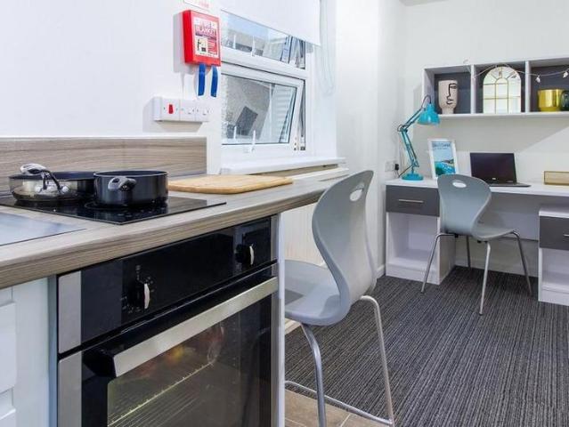 Studio to rent