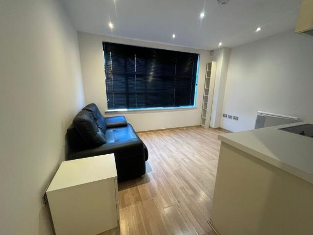 Studio to rent