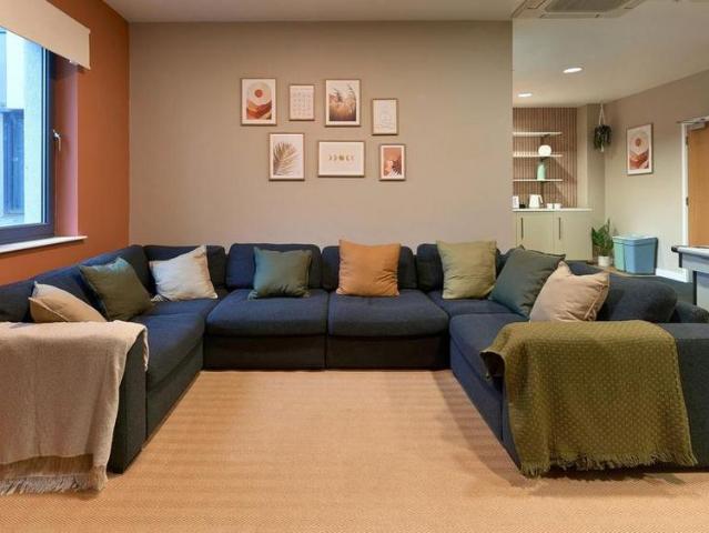 Studio to rent