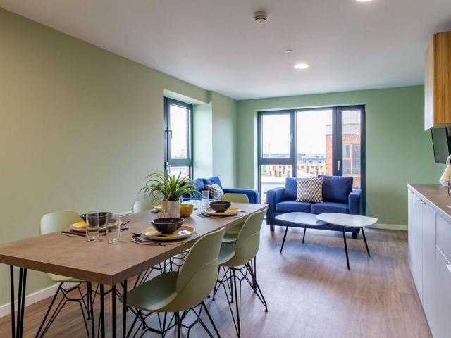 Studio to rent