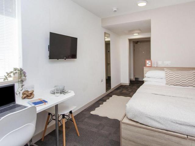 Studio to rent