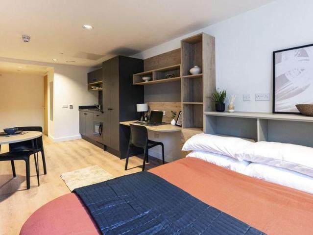 Studio to rent