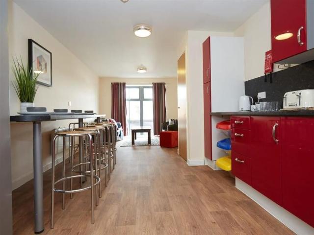 Studio to rent