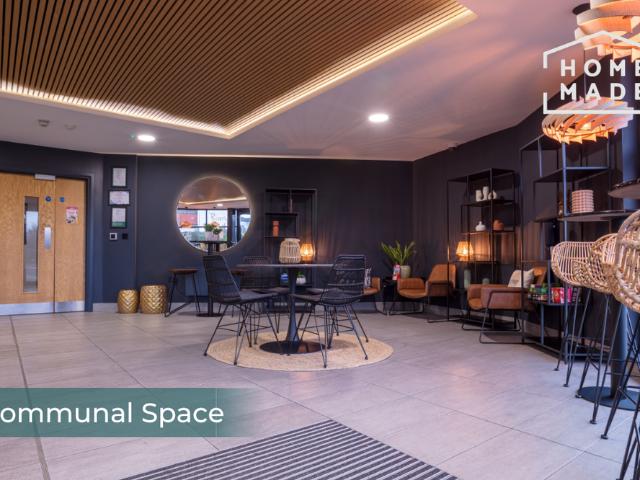 Studio to rent