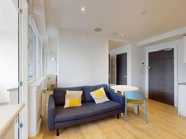 Studio to rent