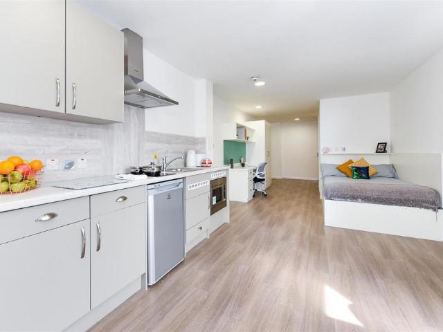 Studio to rent