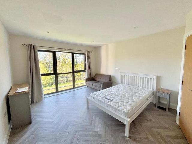 Studio to rent