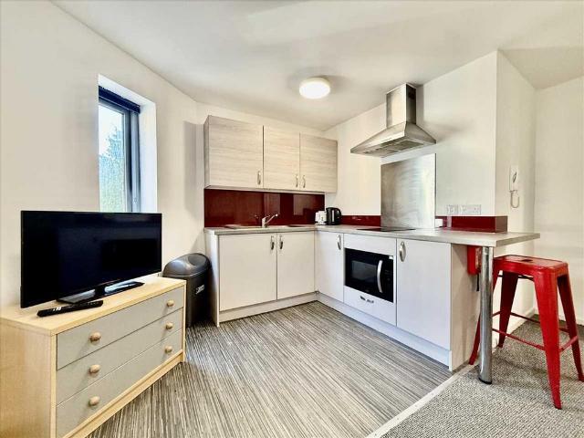 Studio to rent