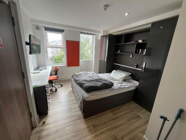 Studio to rent