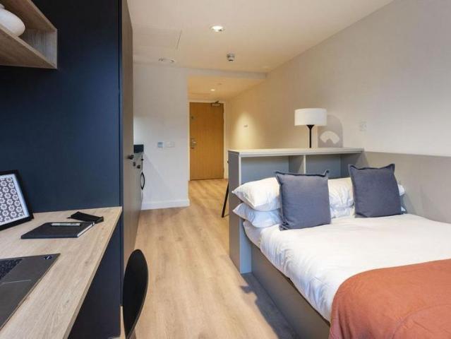 Studio to rent