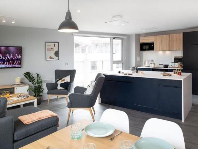 Studio to rent