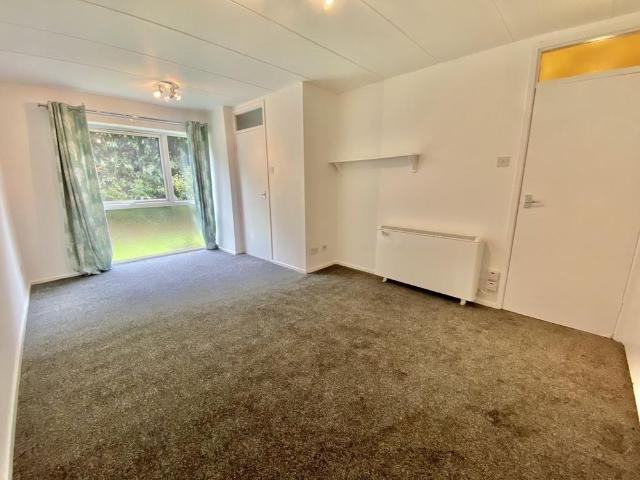 Studio to rent