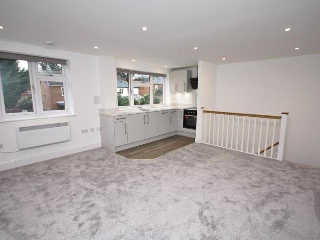 Studio to rent