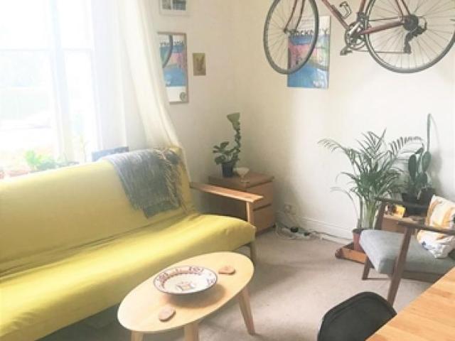 Studio to rent
