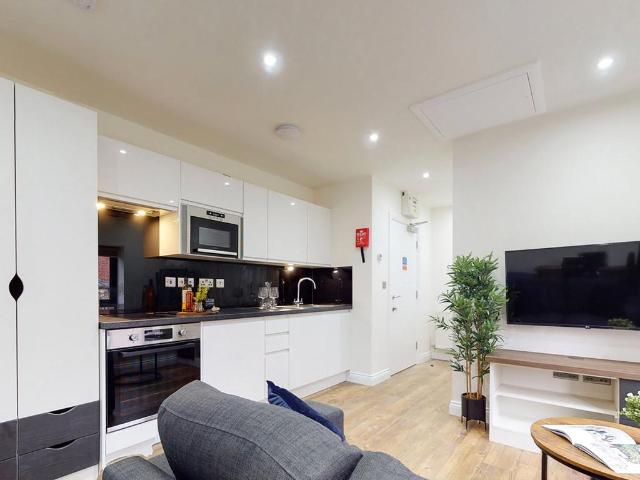 Studio to rent