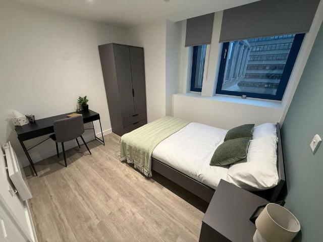 Studio to rent