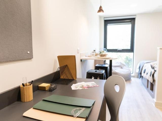 Studio to rent