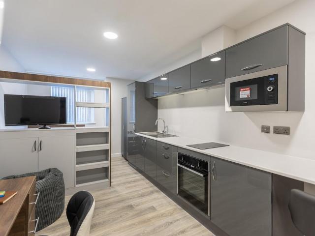 Studio to rent