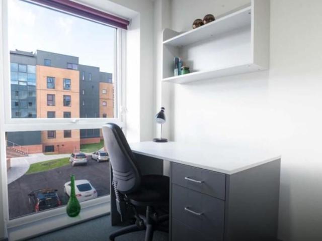 Studio to rent