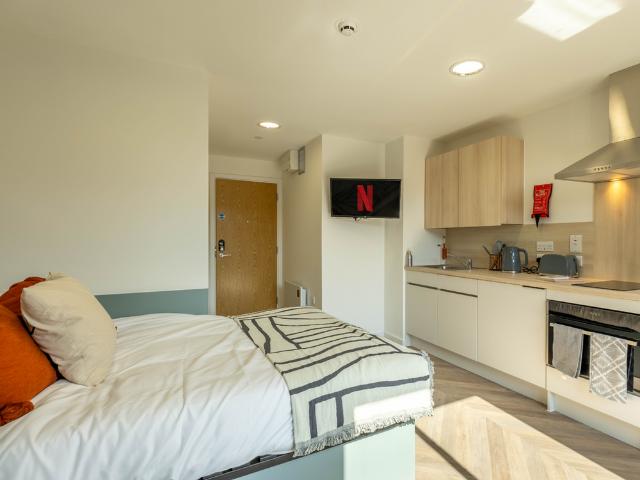 Studio to rent
