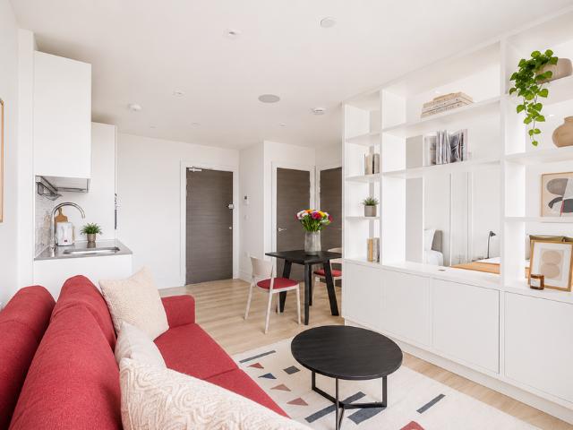 Studio to rent