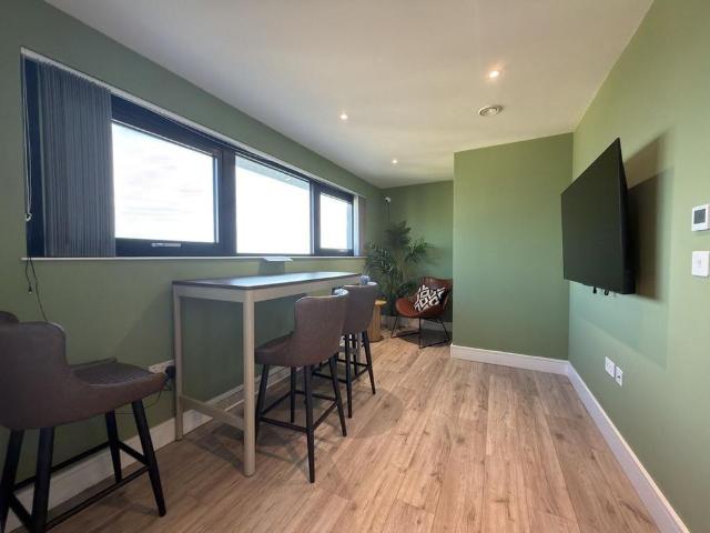 Studio to rent