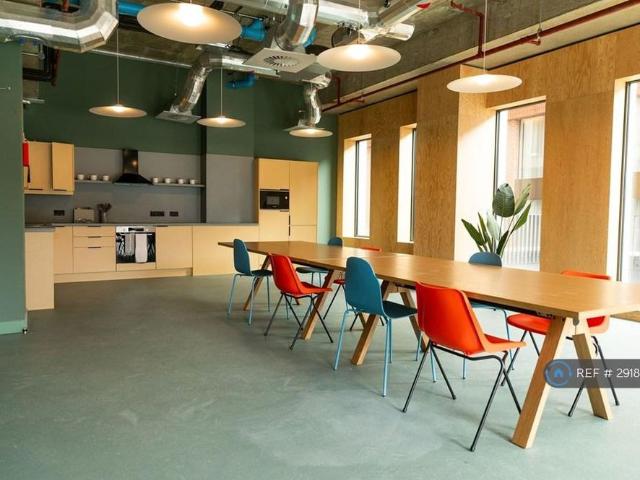 Studio to rent