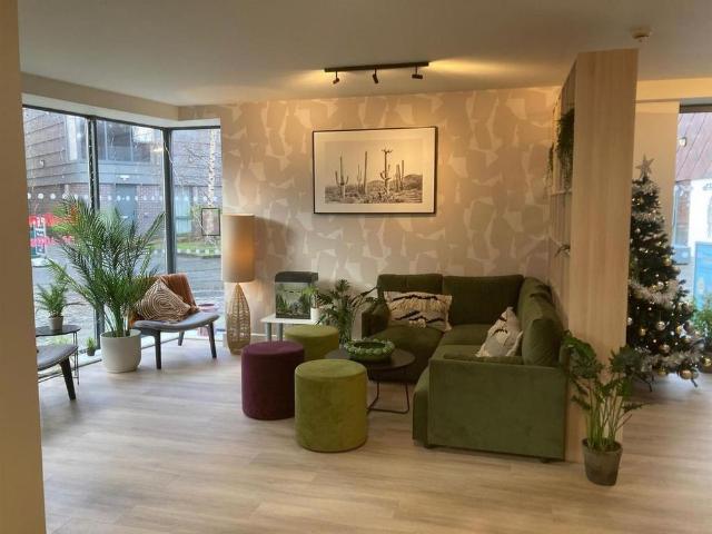 Studio to rent