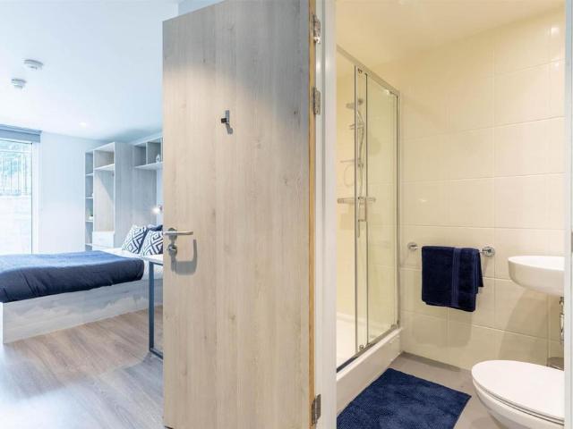 Studio to rent
