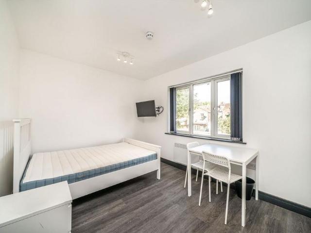 Studio to rent