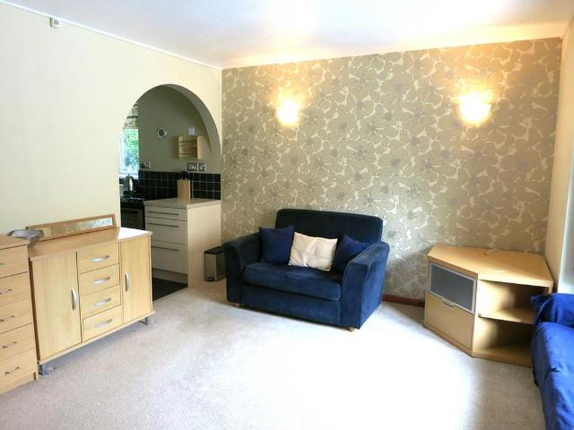 Studio to rent
