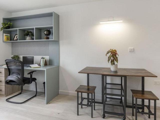 Studio to rent