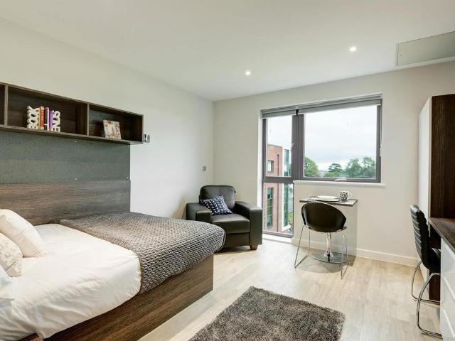 Studio to rent