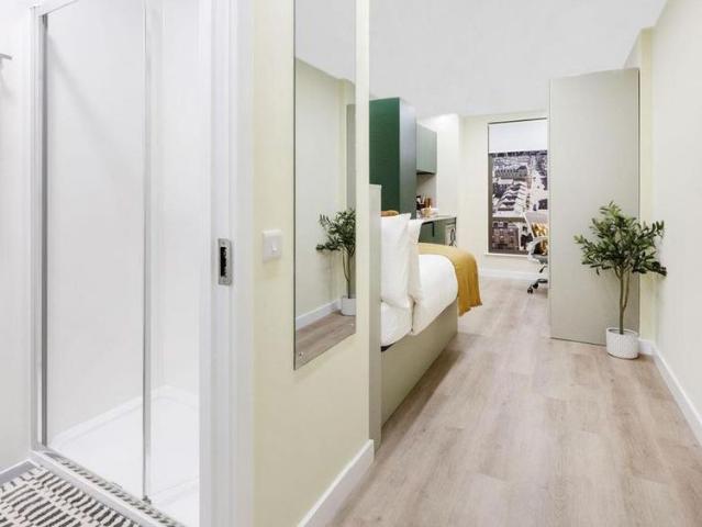 Studio to rent
