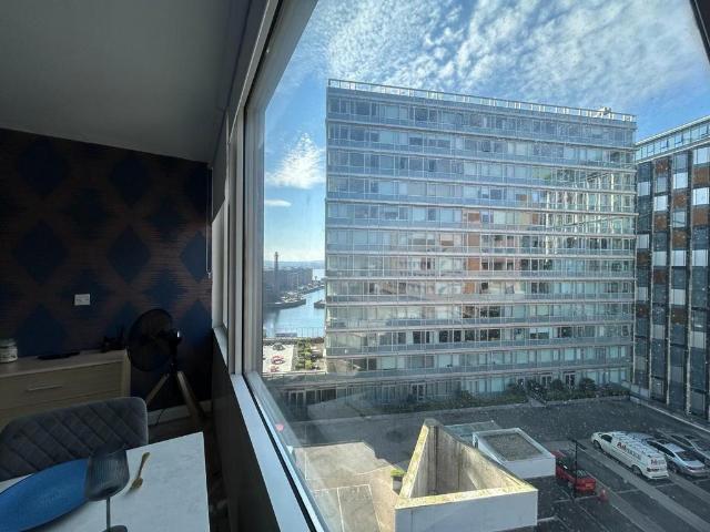 Studio to rent