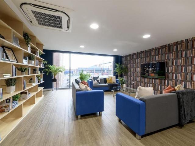 Studio to rent