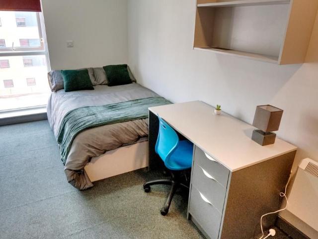 Studio to rent
