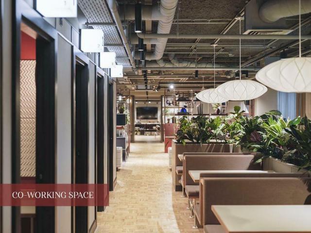 Studio to rent