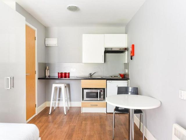 Studio to rent