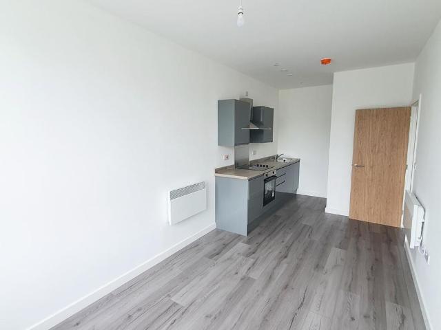 Studio to rent
