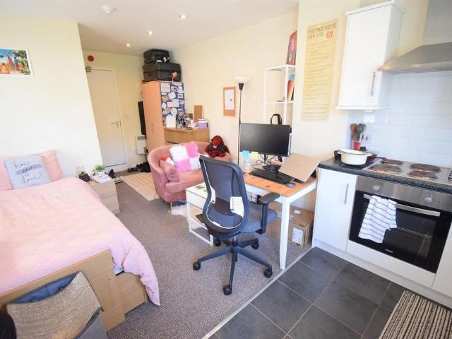 Studio to rent
