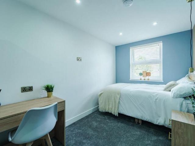 Studio to rent